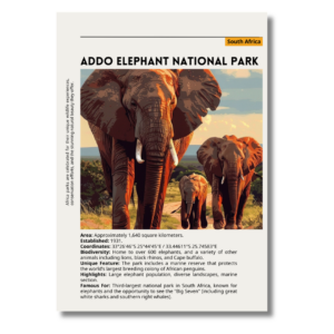 Addo Elephant Park